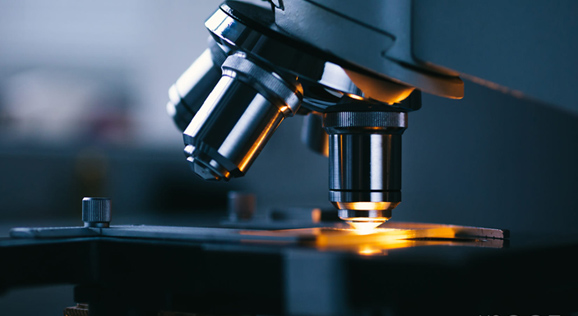 js33333金沙线路检测(中国游)有限公司官网